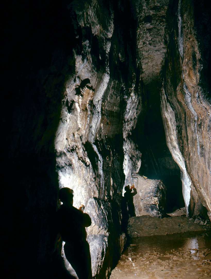 Stope Putwell Hill Mine 1971, submitted by Dickie Bird on 20-03-2026.
© Richard Bird Stope Putwell Hill Mine 1971